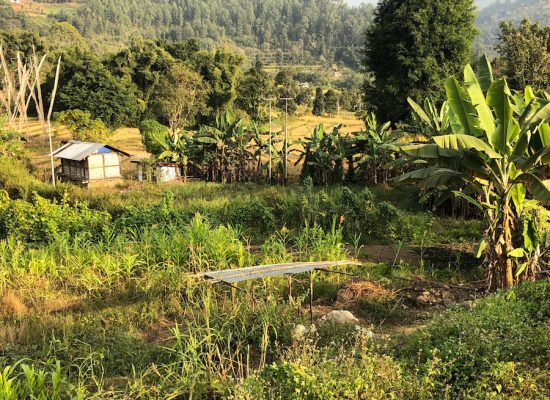 Ländliche Entwicklung und Trinkwasserversorgung: Alle Projekte in Tsirang sind gut angelaufen!